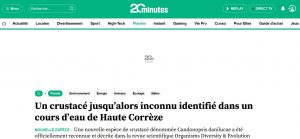Article 20 Minutes du 15 juin (capture-écran FL du 16 juin 2026)