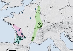 Capture-écran Carto article Niphargus
