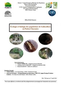 Capture-écran Couverture Rapport M. Delangle