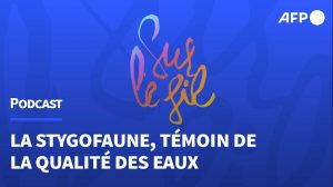 Capture-écran Podcast AFP Sur le Fil