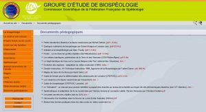 Capture-écran page GEB-FFS