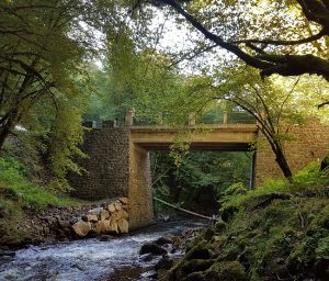 Le Vianon à St-Pantaléon, 19 (F. Lefebvre / SEPANSO, 12 oct. 2021)