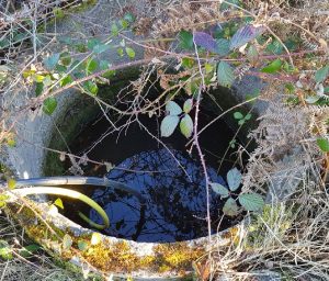 Puits des Courteix à Peyrat, 23 (F.-Lefebvre / SEPANSO, 9 fév. 2022)