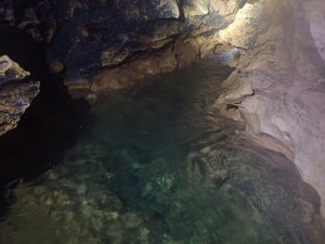 Riviere souterraine des Jonquilles, 19 (F. Lefebvre / SEPANSO, 26 f‚v. 2022)